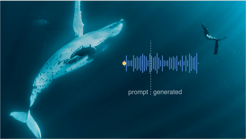 New grants to catalyze research into AI and non-human communication