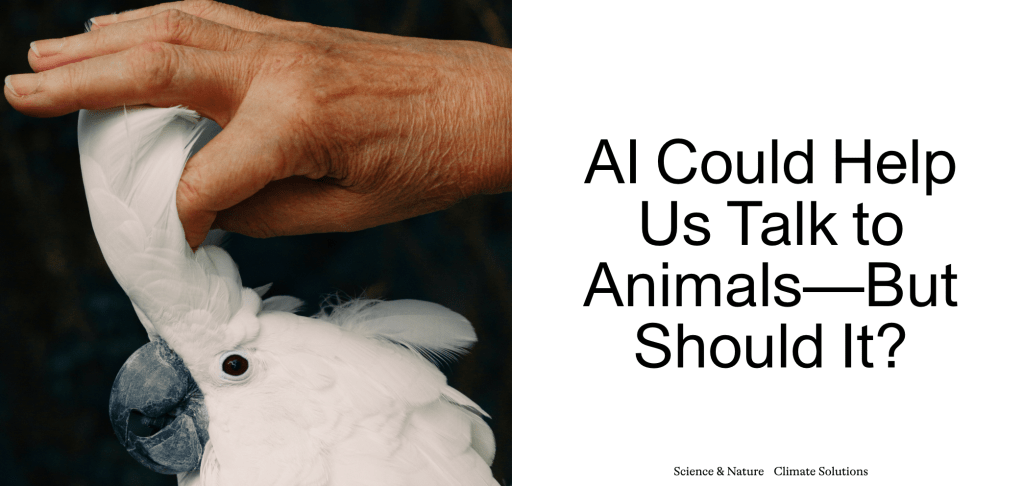 AI Could Help Us Talk to Animals – But Should It?