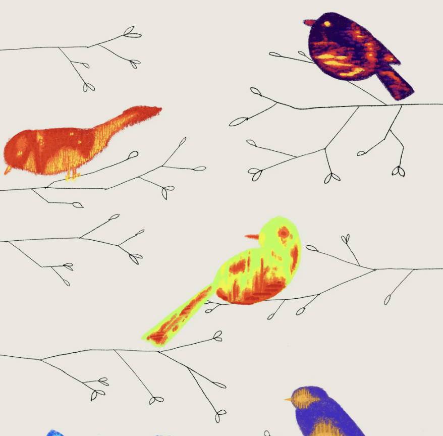 How Scientists Started to Decode Birdsong