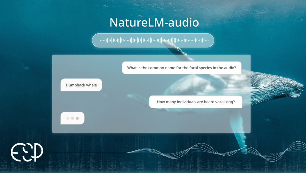 Hands-On with NatureLM-audio: A No-Code Demo