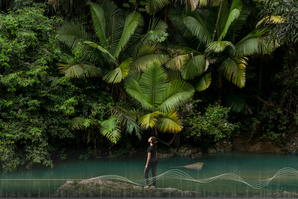 What the World Thinks About AI and Animal Communication: Findings from Our First Global Survey