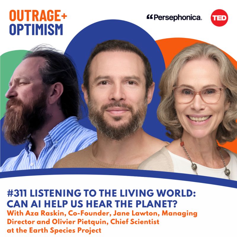 Listening to the Living World: Can AI help us hear the planet?