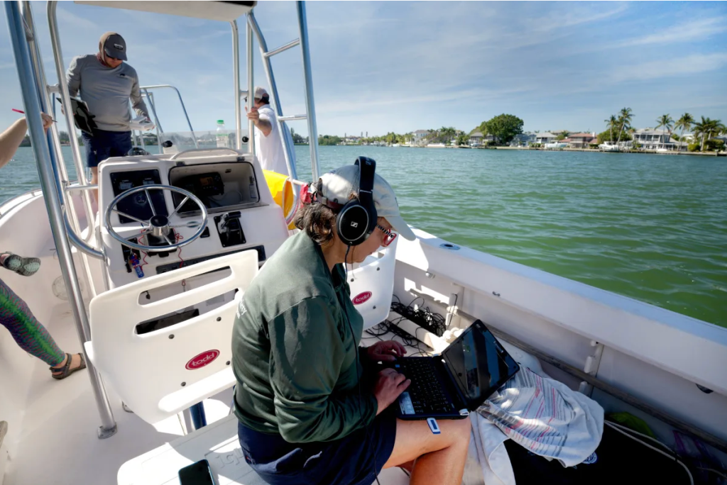 Scientists have almost cracked the secret language of animals. Here’s what they’ve learned