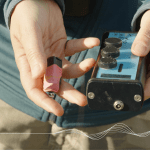 Unlocking Avian Secrets: How Tiny Biologgers Are Revealing the Hidden Communication of Carrion Crows