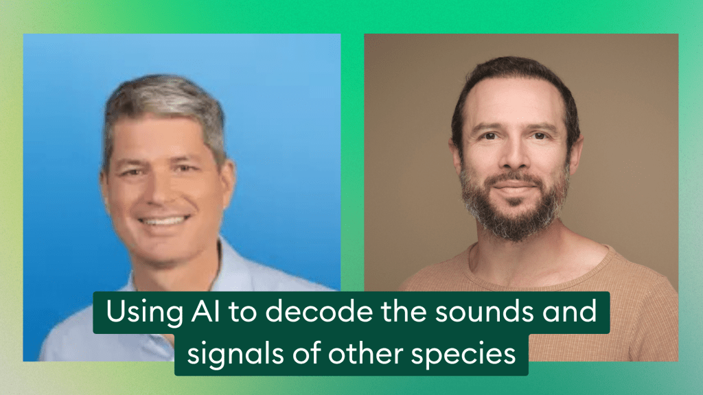 Using AI to decode the sounds and signals of other species