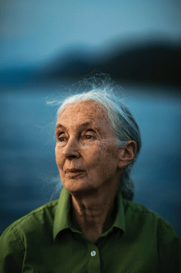 Portrait photo of Dr. Jane Goodall