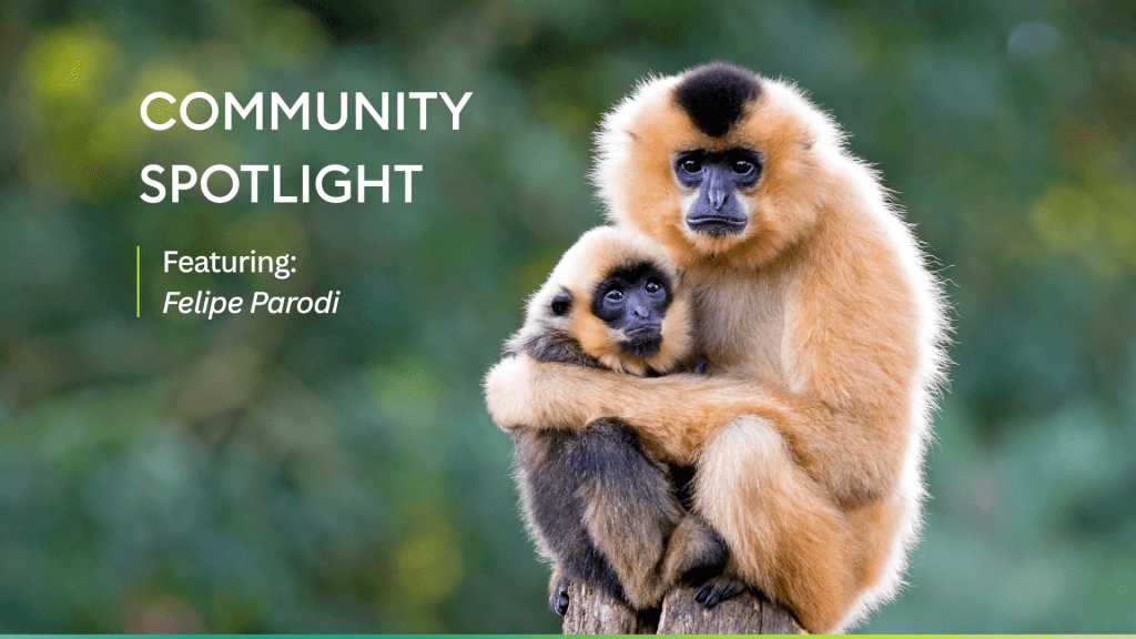 What Can a Primate Face Tell Us? A Scalable Approach to Studying Facial Expressions