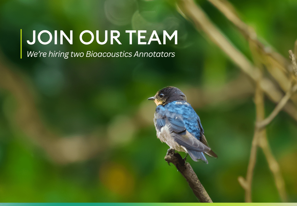 We’re Hiring! Bioacoustics Annotators