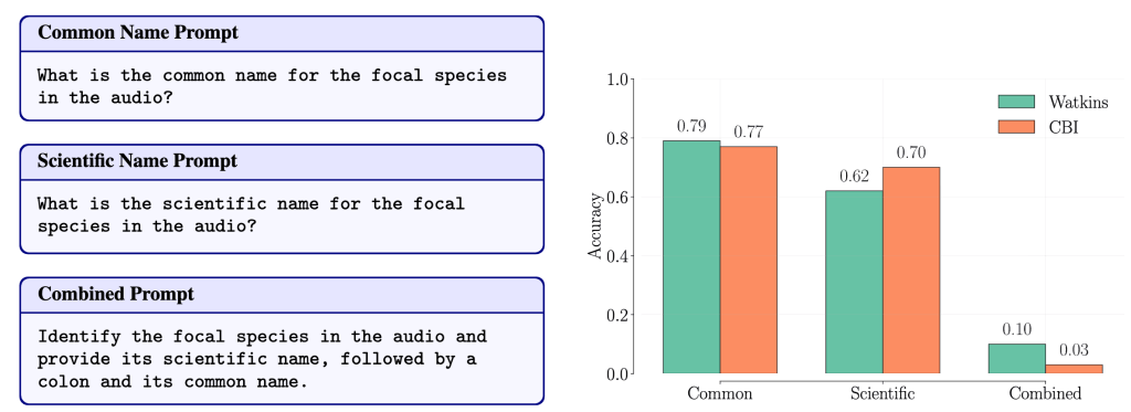 Infographic showing prompts for audio species identification: Common Name, Scientific Name, and Combined Prompt, with a bar graph comparing accuracy results for Watkins and CBI.